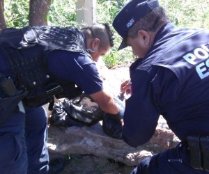 13516694_1729946973924987_5336179773186435826_n