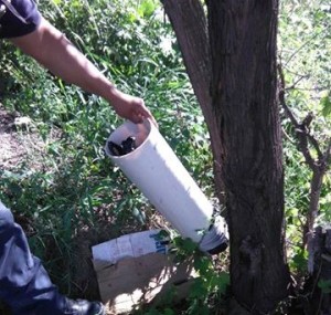 13557771_1729947020591649_3847401213966593168_n