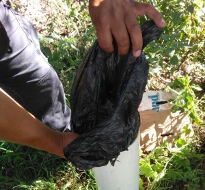 13599966_1729947010591650_98851051953885844_n