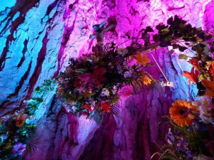 13658975_10153887693507987_3326078588922380239_n