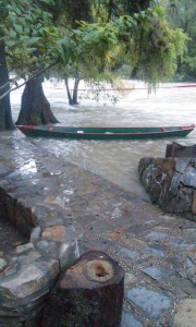 14045697_1189667281097972_673744611237950837_n