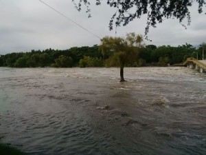 14067659_1189667234431310_2908872392889469089_n