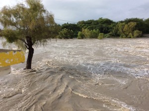 14079731_1189667237764643_9090502276609483481_n