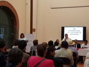 thumbnail_INDEPI día internacional 090816