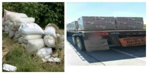 14199709_1045121005608167_8226542066942389282_n