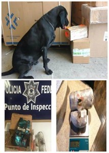 14225486_1046056155514652_8008523961645449642_n