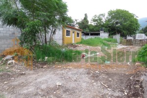 14433152_814039778737809_1169240288182333360_n