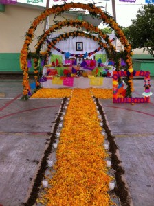 14608804_10207565408429529_8660035116151304523_o