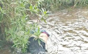 14976381_1146672695418562_5623050369098384677_o