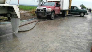 15003288_1103196393133961_3732631425396625073_o